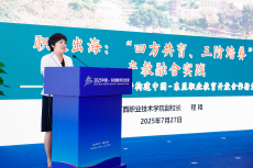 副校长程艳在第三届“中文+职业技能”国际合作交流论坛作专题报告.JPG