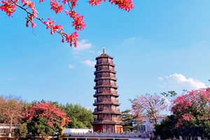 茶王塔.jpg